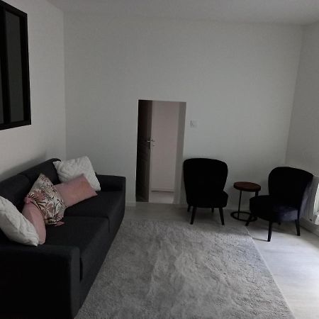 Tres Bel Appartement Condrieu Zewnętrze zdjęcie