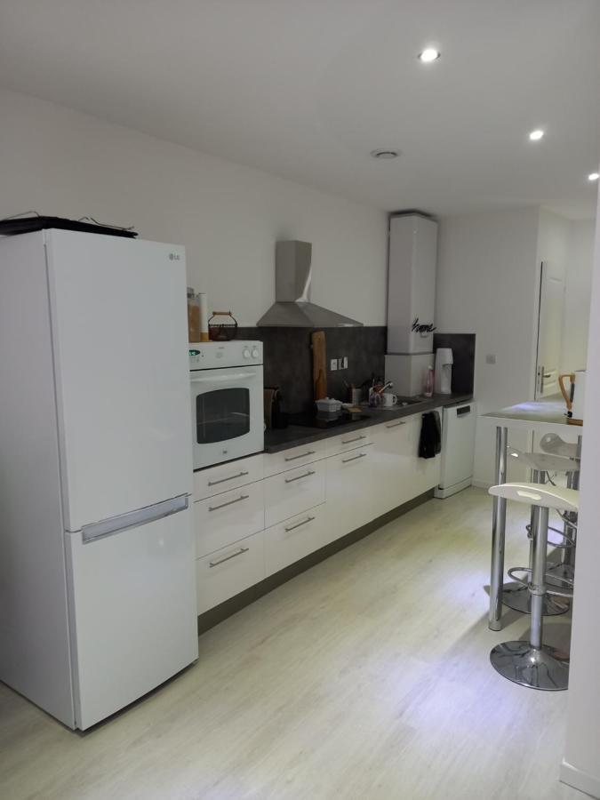 Tres Bel Appartement Condrieu Zewnętrze zdjęcie