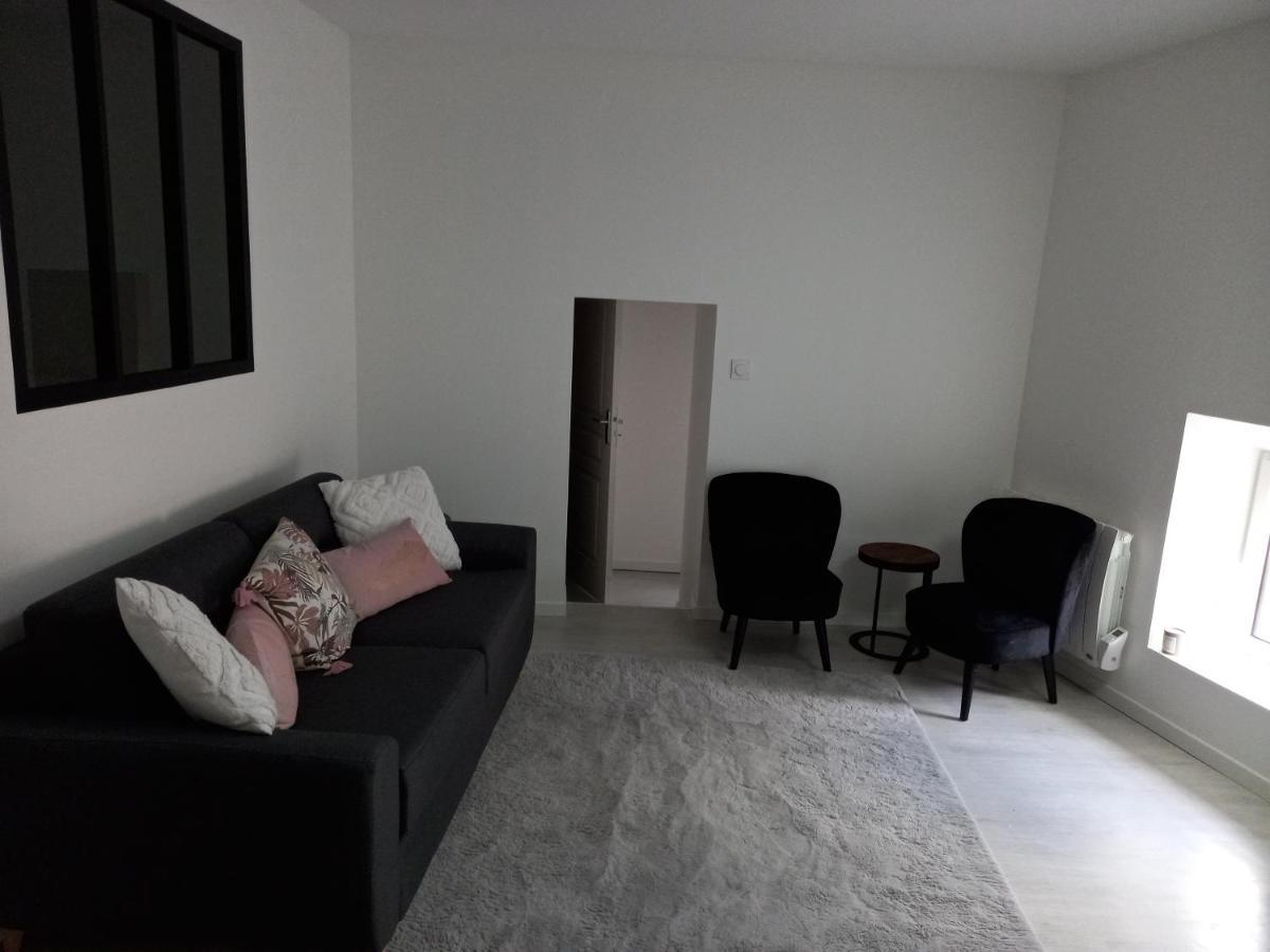 Tres Bel Appartement Condrieu Zewnętrze zdjęcie