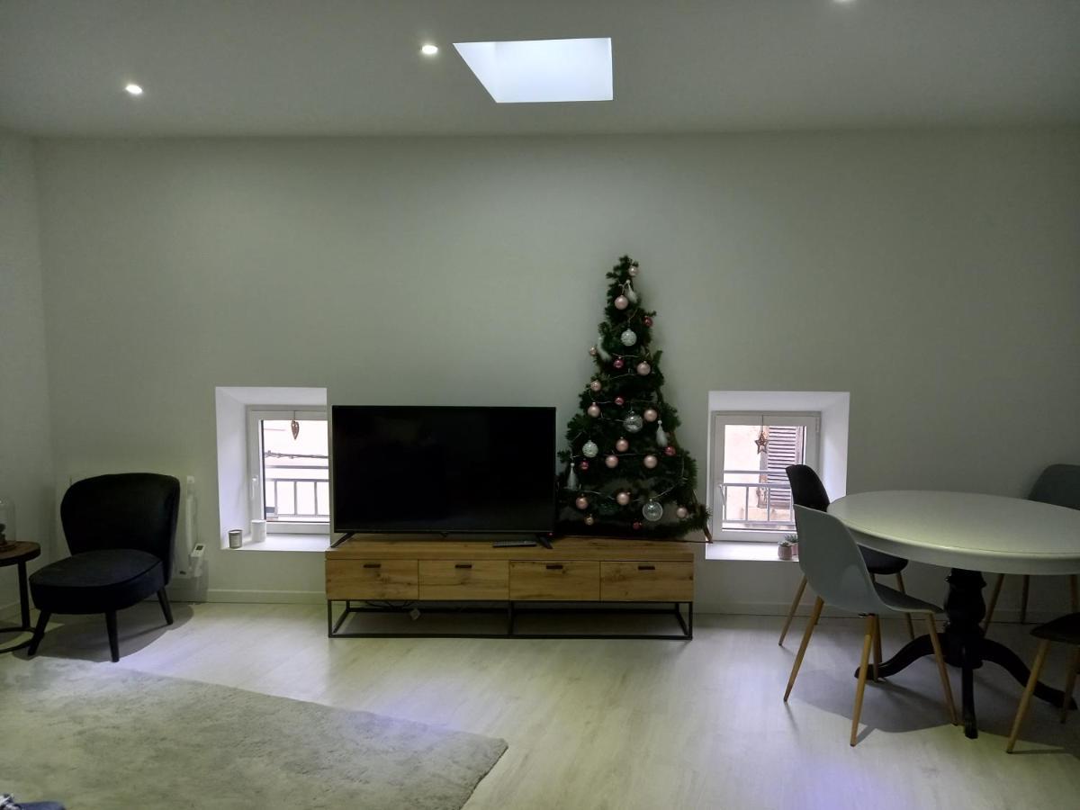Tres Bel Appartement Condrieu Zewnętrze zdjęcie